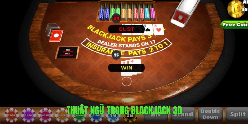 Tìm hiểu thuật ngữ sử dụng nhiều nhất trong Blackjack 3D
