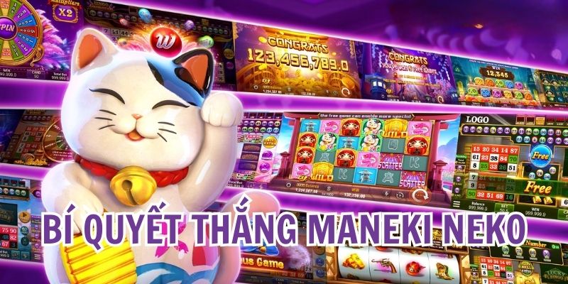 3 mẹo giúp hội viên thu lợi nhuận lớn